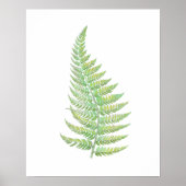 Poster Fern (Devant)