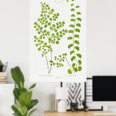 Poster Fern (Bureau à domicile)