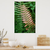 POSTER FERN 1 (Cuisine)