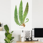 Poster Fern 3 (Bureau à domicile)