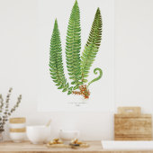 Poster Fern 3 (Cuisine)