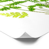 Poster Fern antique Imprimer #11 Green Nature Botanical A (Coin)