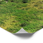 Poster Fern Bern Hut (Coin)