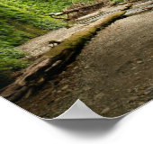 Poster Fern Canyon, Californie (Coin)