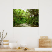 Poster Fern Canyon I au Redwood National Park (Cuisine)