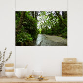 Poster Fern Canyon II au parc national Redwood (Cuisine)