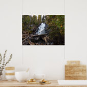 Poster Fern Falls à Rocky Mountain National Park (Cuisine)
