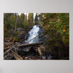 Poster Fern Falls à Rocky Mountain National Park