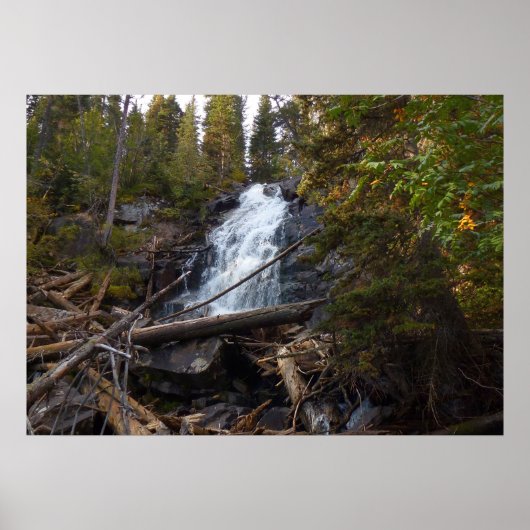 Poster Fern Falls à Rocky Mountain National Park (Devant)