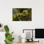 Poster Fern Frond (Bureau à domicile)