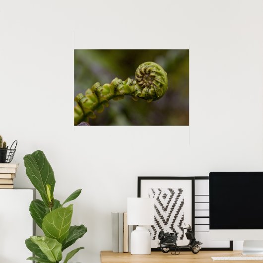 Poster Fern Frond (Bureau à domicile)