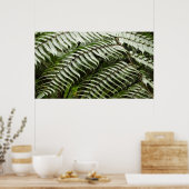 Poster Fern Fronds II Dark Green Nature (Cuisine)
