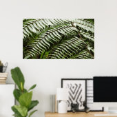 Poster Fern Fronds II Dark Green Nature (Bureau à domicile)