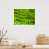 Poster Fern Fronds III Nature verte Botanique (Cuisine)
