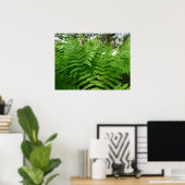 Poster Fern Fronds IV Nature verte Botanique (Bureau à domicile)