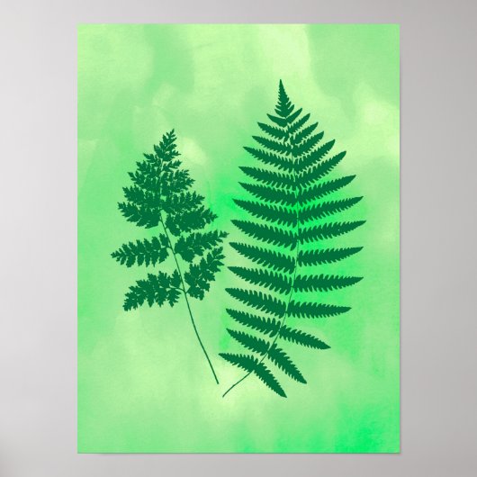 Poster Fern Fronds, vert sur un Arrière - plan aquarelle (Devant)