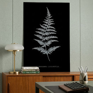 Poster Fern - Gymnogramma Chrysophylla. Effet de rayons X