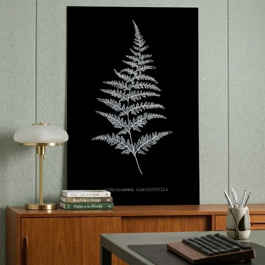 Poster Fern - Gymnogramma Chrysophylla. Effet de rayons X