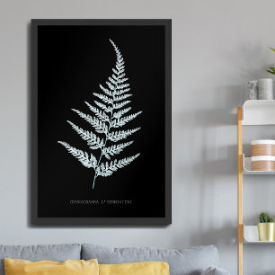 Poster Fern - Gymnogramma L’herminieri. Effet de rayons X