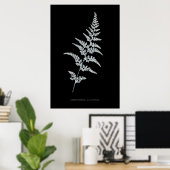 Poster Fern - Gymnogramma Sulphurée - Effet de rayons X - (Bureau à domicile)