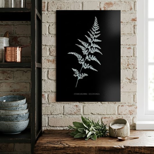 Poster Fern - Gymnogramma Sulphurée - Effet de rayons X -