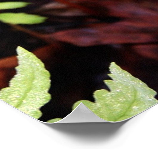 Poster Fern par StoneWall (Coin)