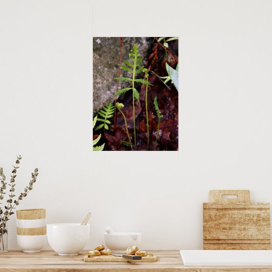 Poster Fern par StoneWall (Cuisine)