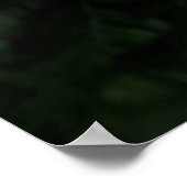 Poster Fern plante (Coin)