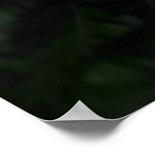 Poster Fern plante (Coin)