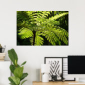 Poster Ferne arborescente dans la forêt tropicale (Bureau à domicile)