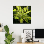 Poster Ferne arborescente dans la forêt tropicale (Bureau à domicile)