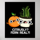 Poster Ferne Citrusque Véritable Amusante Citrus Plante P (Devant)
