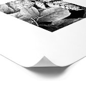 Poster Ferne et feuillage noir et blanc (Coin)