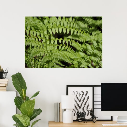 Poster Ferns (Bureau à domicile)