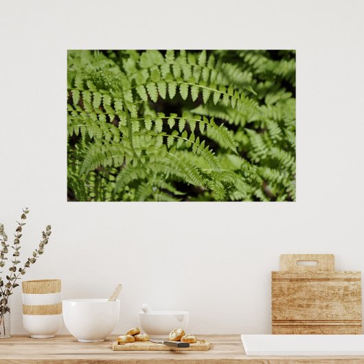 Poster Ferns (Cuisine)