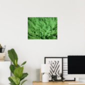 Poster Ferns (Bureau à domicile)