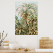 Poster Ferns, Filicinae Laubfarne par Ernst Haeckel (Cuisine)