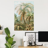 Poster Ferns, Filicinae Laubfarne par Ernst Haeckel (Bureau à domicile)