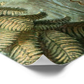Poster Ferns Palm Tree Antiquité Botanique Ferns Art (Coin)