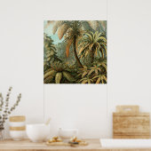 Poster Ferns Palm Tree Antiquité Botanique Ferns Art (Cuisine)
