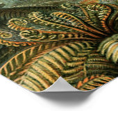 Poster Ferns Palm Tree Antiquité Botanique Ferns Art (Coin)