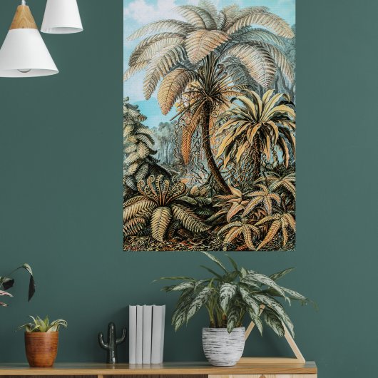 Poster Ferns Plantes Vintages par Ernst Haeckel (Salon 1)
