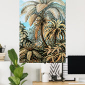 Poster Ferns Plantes Vintages par Ernst Haeckel (Bureau à domicile)