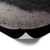 Poster Ferret (Coin)