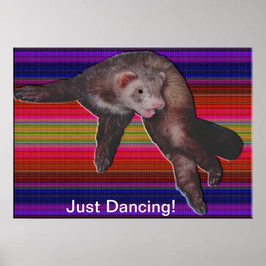 Poster Ferret de danse (Devant)
