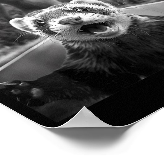 Poster Ferret Selfie With Bigfoot Funny For Men Women Kid (Coin)