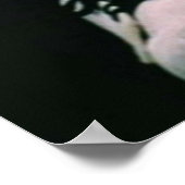 Poster Ferris Buellers Day Off et Cameron and Print (Coin)