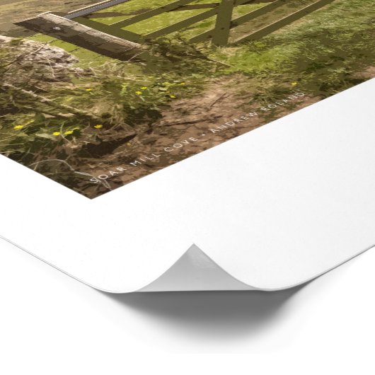 Poster ferroviaire Devon (Coin)