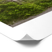 Poster ferroviaire Grasmere (Coin)