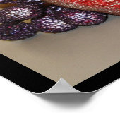 Poster Festif Fruits (Coin)